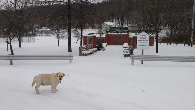 Patton Park & Pool - Patton, PA