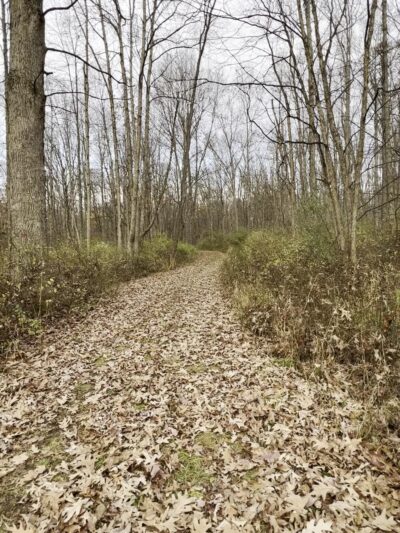 Troxell Point Trail - Patton, PA