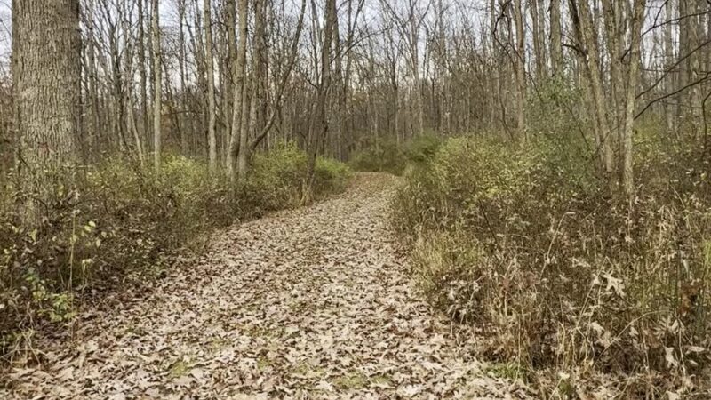 Troxell Point Trail - Patton, PA