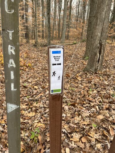 Troxell Point Trail - Patton, PA