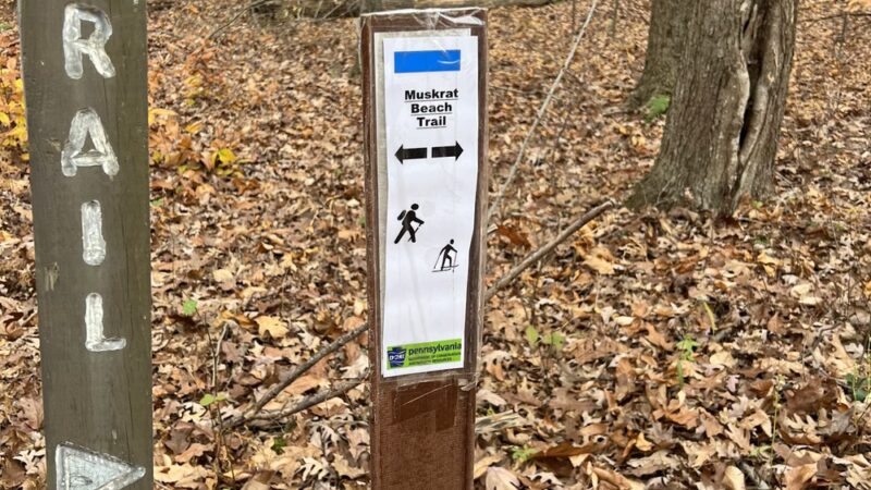 Troxell Point Trail - Patton, PA