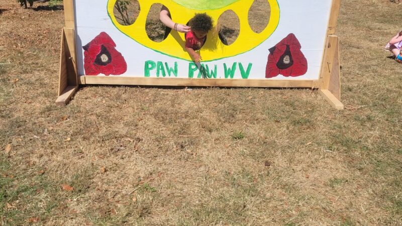 Paw Paw Municipal Park - Paw Paw, WV