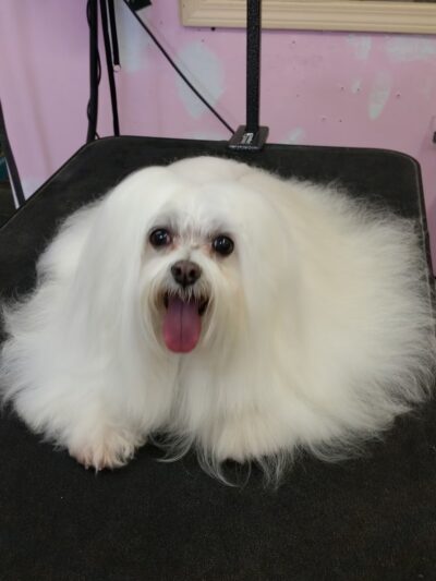 Bark Place LLC - Pawcatuck, CT