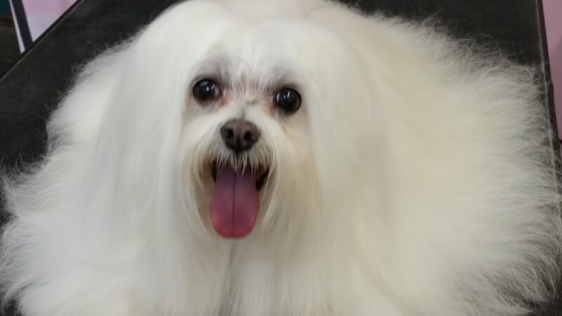 Bark Place LLC - Pawcatuck, CT