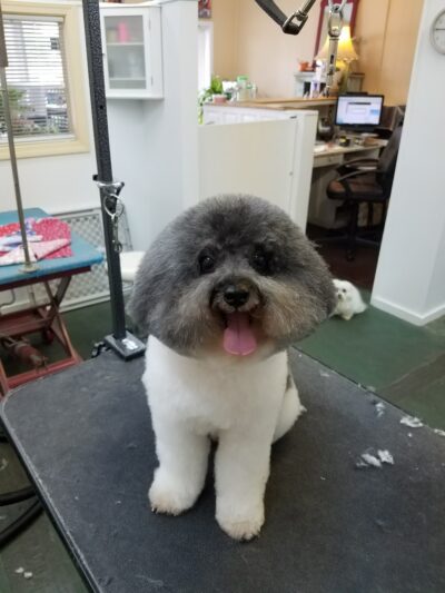 Bark Place LLC - Pawcatuck, CT