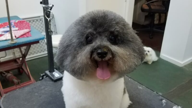Bark Place LLC - Pawcatuck, CT