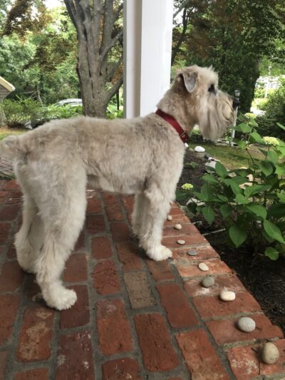 Bark Place LLC - Pawcatuck, CT