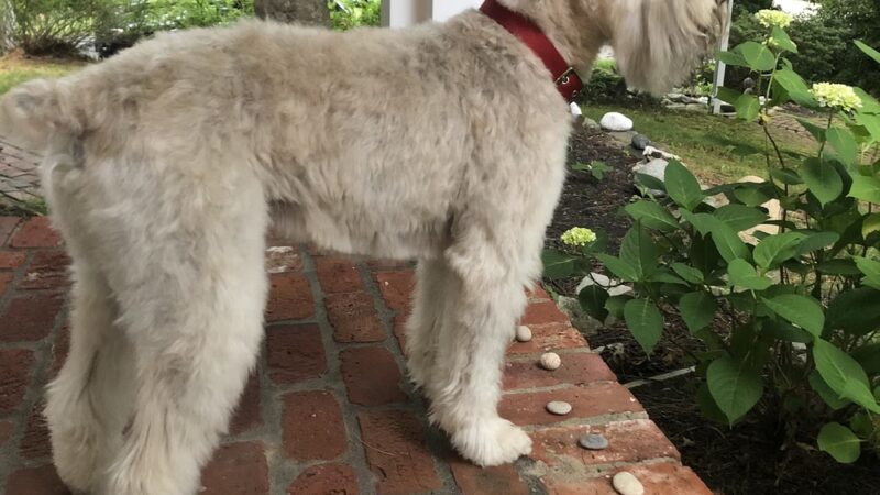 Bark Place LLC - Pawcatuck, CT