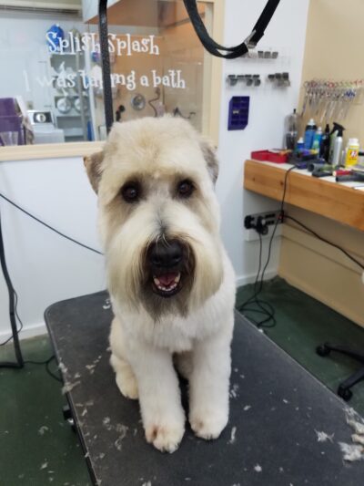 Bark Place LLC - Pawcatuck, CT