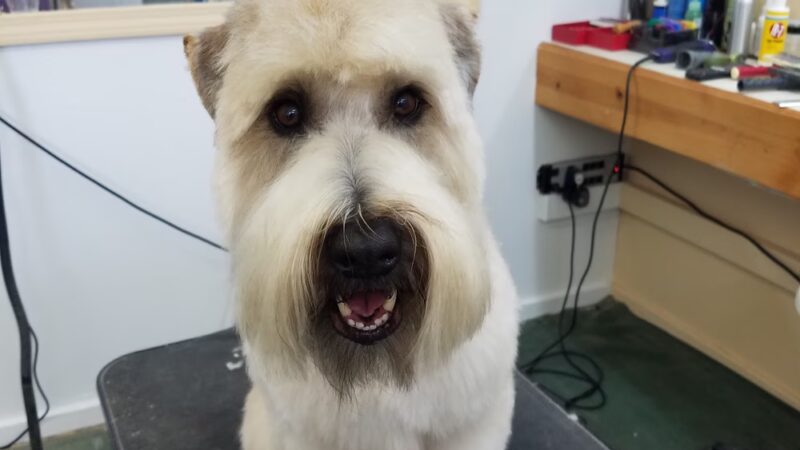 Bark Place LLC - Pawcatuck, CT