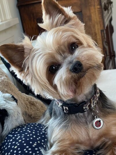 Bark Place LLC - Pawcatuck, CT