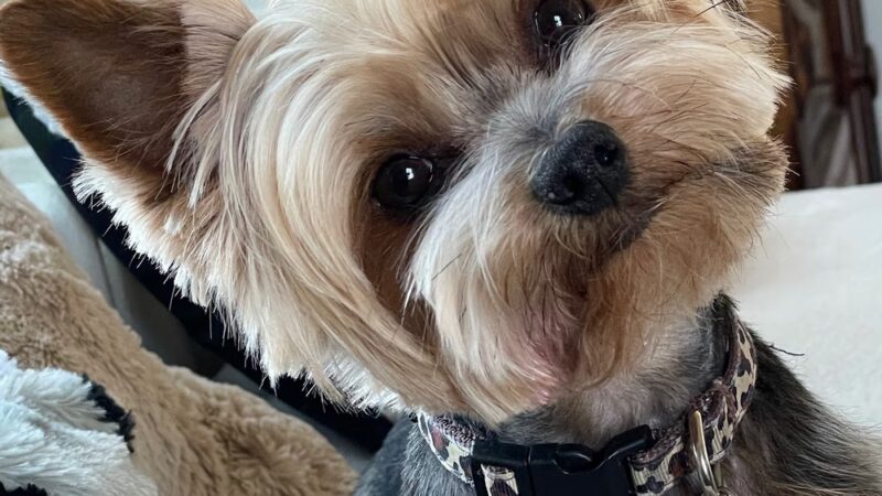 Bark Place LLC - Pawcatuck, CT