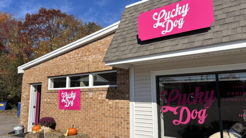 Lucky Dog LLC - Pawcatuck, CT
