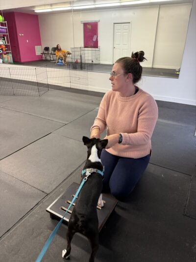 Lucky Dog LLC - Pawcatuck, CT