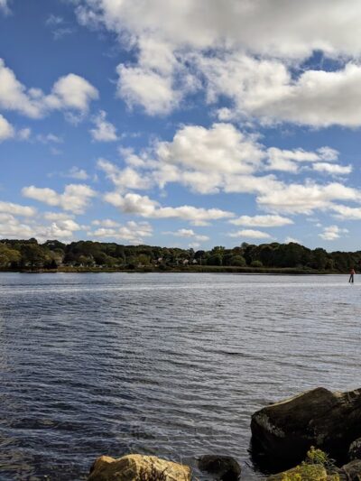 Pawcatuck River Wildlife Area - Pawcatuck, CT