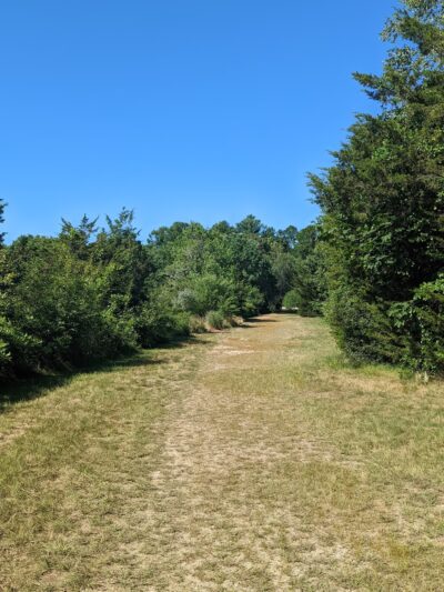 Pawcatuck River Wildlife Area - Pawcatuck, CT