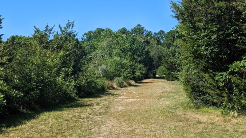 Pawcatuck River Wildlife Area - Pawcatuck, CT