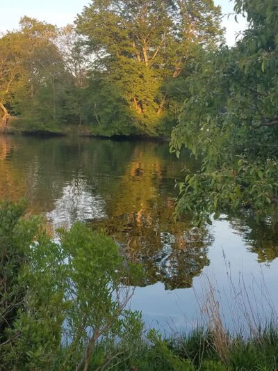 Pawcatuck River Wildlife Area - Pawcatuck, CT