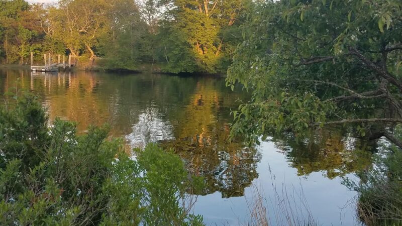 Pawcatuck River Wildlife Area - Pawcatuck, CT