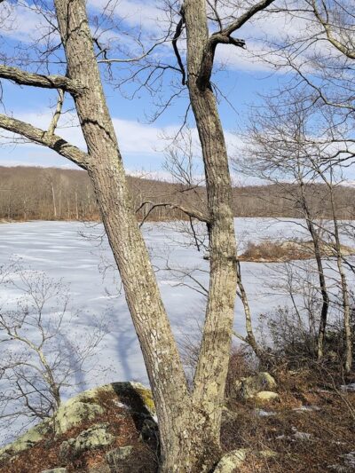 Appalachian Trailhead for Nuclear Lake - Pawling, NY