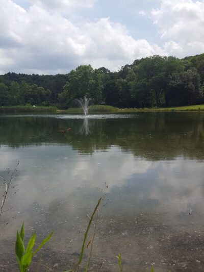 Edward R Murrow Memorial Park - Pawling, NY
