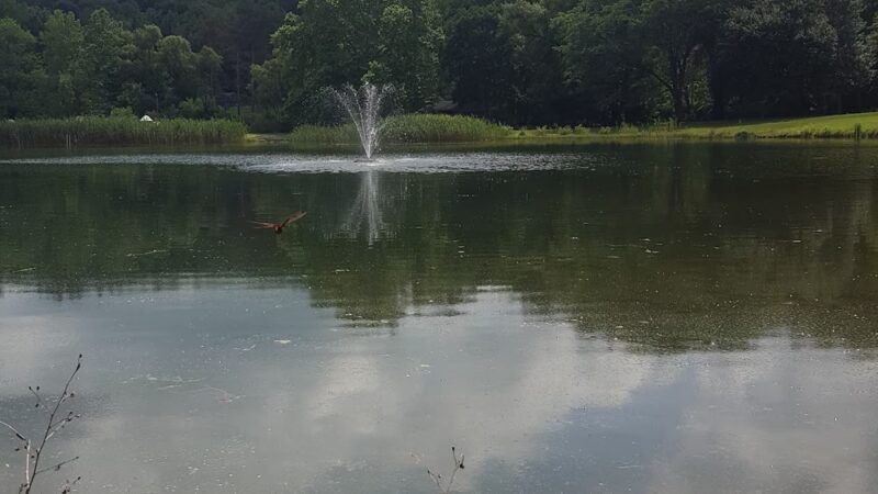 Edward R Murrow Memorial Park - Pawling, NY