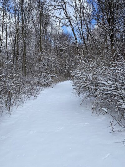 Edward R Murrow Memorial Park - Pawling, NY