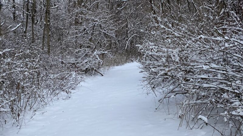 Edward R Murrow Memorial Park - Pawling, NY