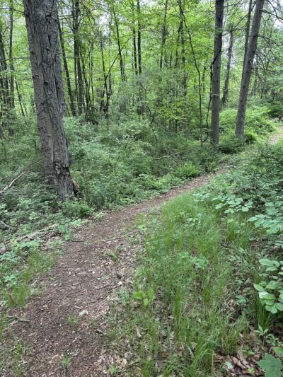 Edward R Murrow Memorial Park - Pawling, NY