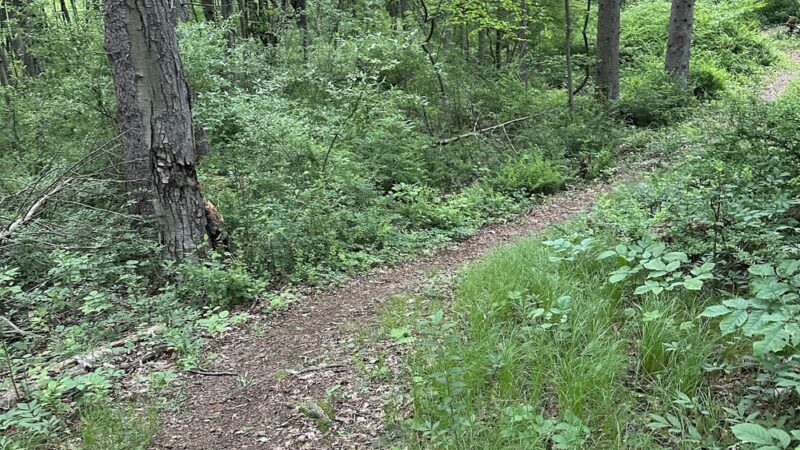 Edward R Murrow Memorial Park - Pawling, NY