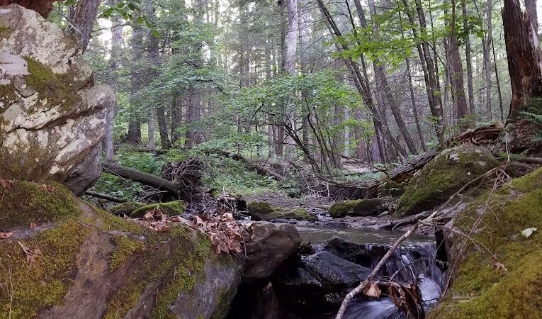 Pawling Nature Reserve - Pawling, NY