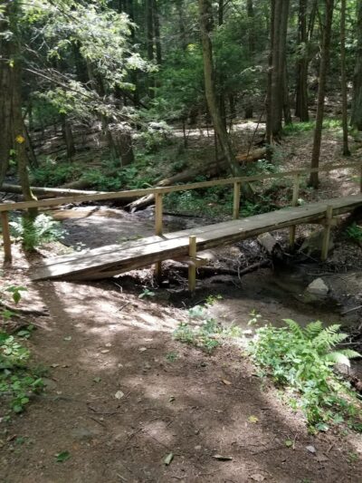 Pawling Nature Reserve - Pawling, NY