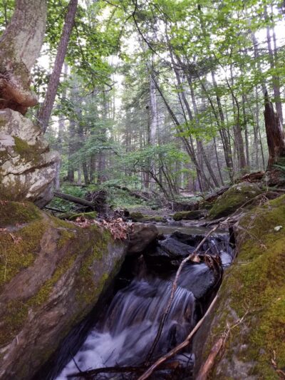 Pawling Nature Reserve - Pawling, NY