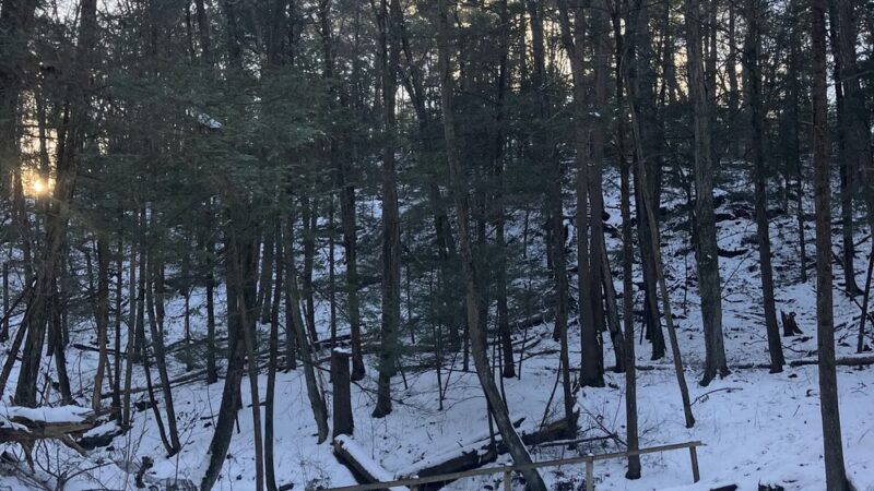 Pawling Nature Reserve - Pawling, NY