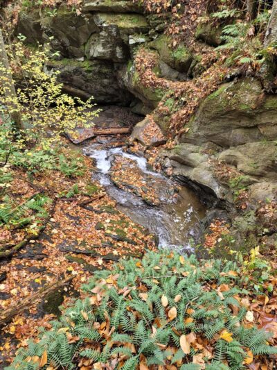 Pawling Nature Reserve - Pawling, NY