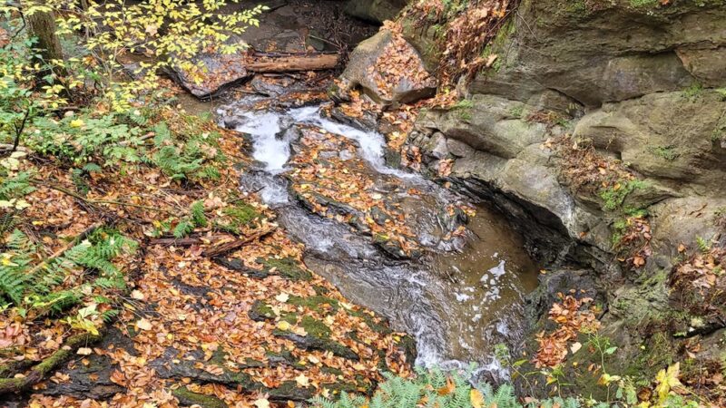 Pawling Nature Reserve - Pawling, NY