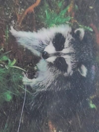 Paint Creek Park - Pax, WV