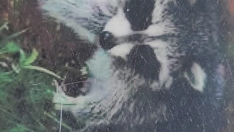 Paint Creek Park - Pax, WV