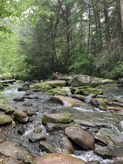Paint Creek Park - Pax, WV