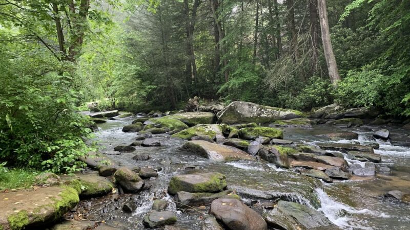 Paint Creek Park - Pax, WV