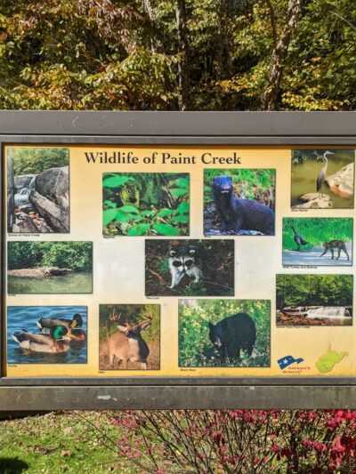 Paint Creek Park - Pax, WV