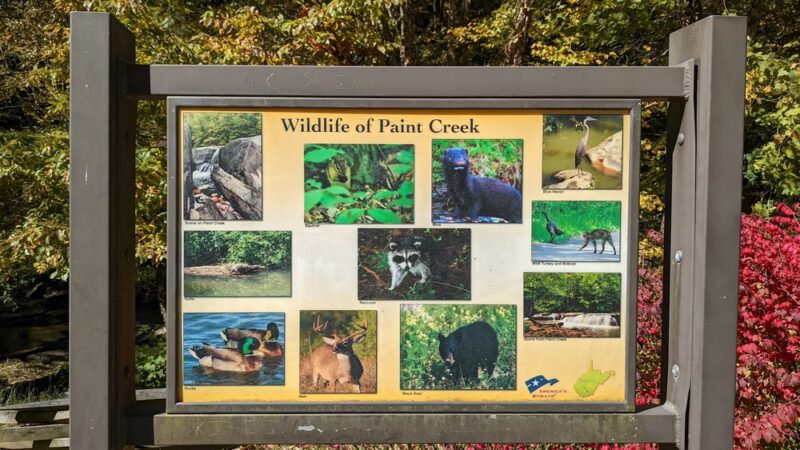 Paint Creek Park - Pax, WV