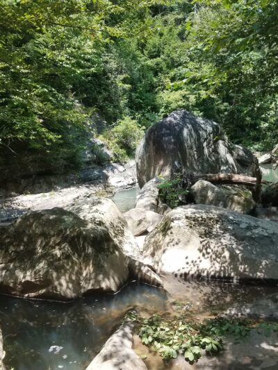 Paint Creek Park - Pax, WV