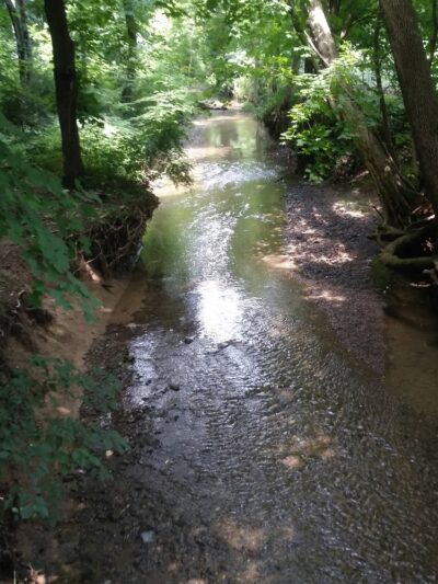 Paxtang Commons Park - Paxtang, PA