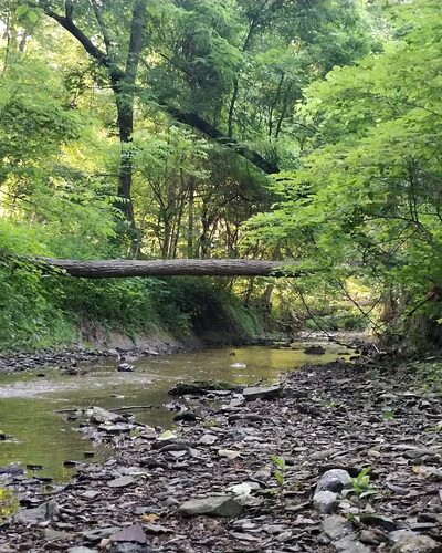 Paxtang Commons Park - Paxtang, PA