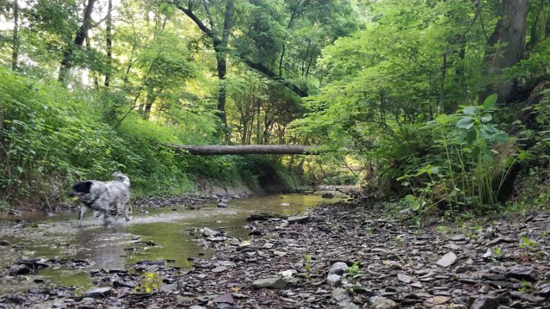 Paxtang Commons Park - Paxtang, PA