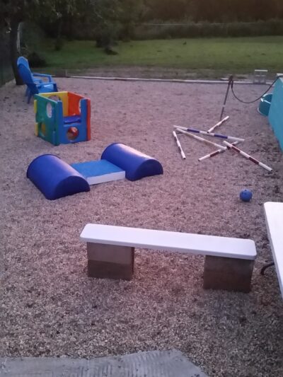 Canine Fitness and Activity Center - Pea Ridge, AR