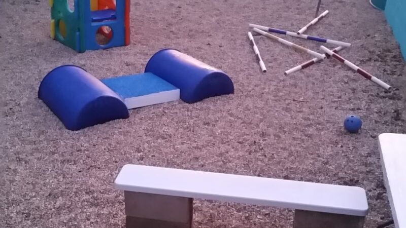 Canine Fitness and Activity Center - Pea Ridge, AR