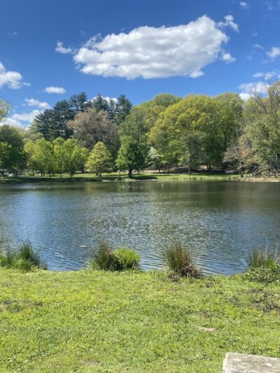 Blue Mountain Park - Peekskill, NY
