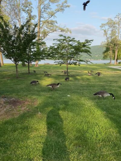 Riverfront Park - Peekskill, NY